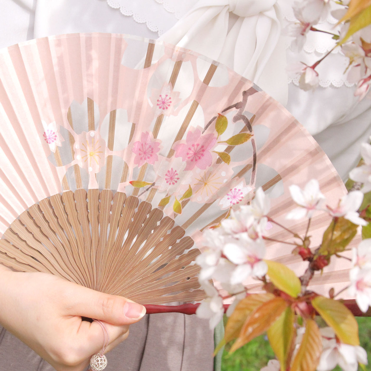扇子 綾華 扇子セット 桜 モデル画像