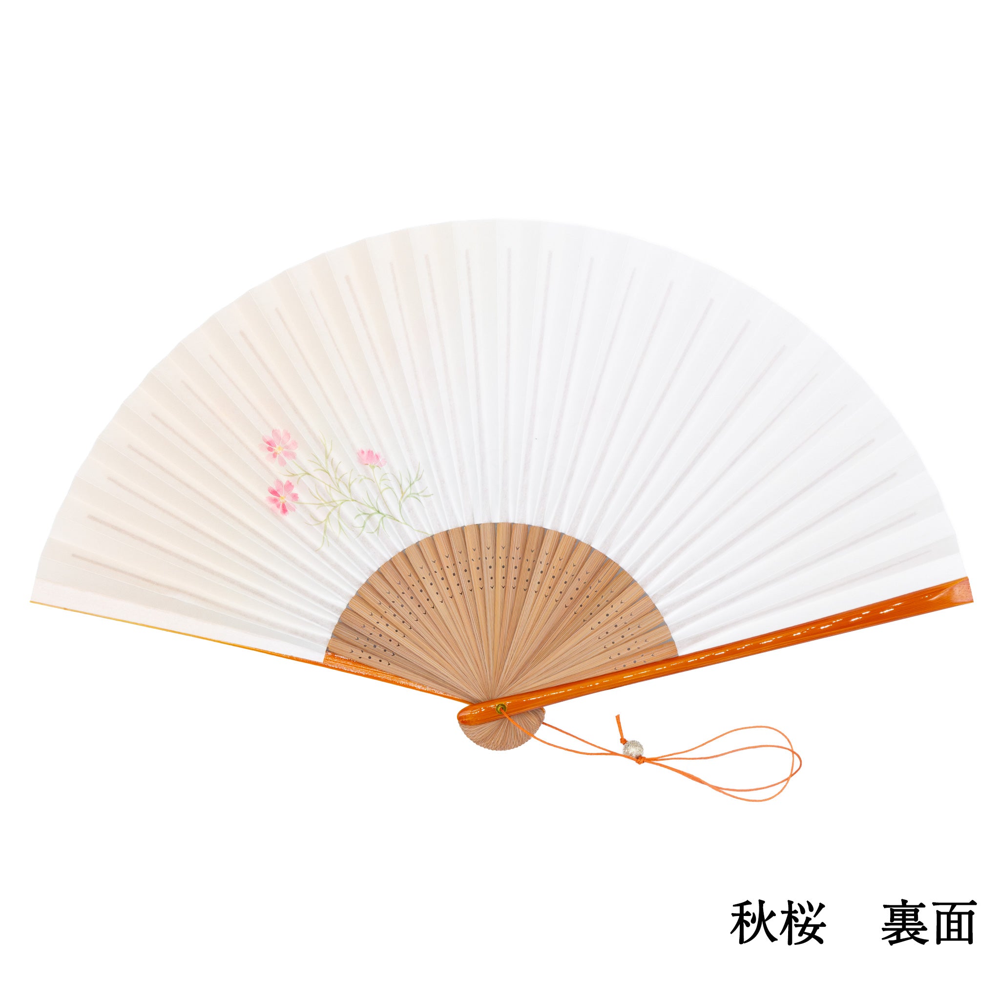 扇子 春慶塗京扇子セット 秋桜 裏面