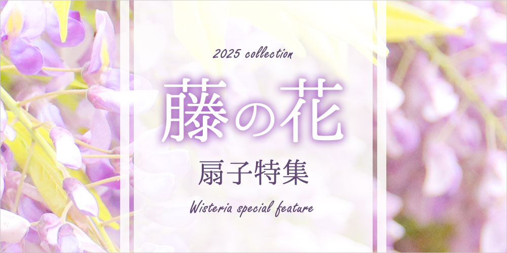【藤の花扇子特集】開催中（初夏限定）※終了しました