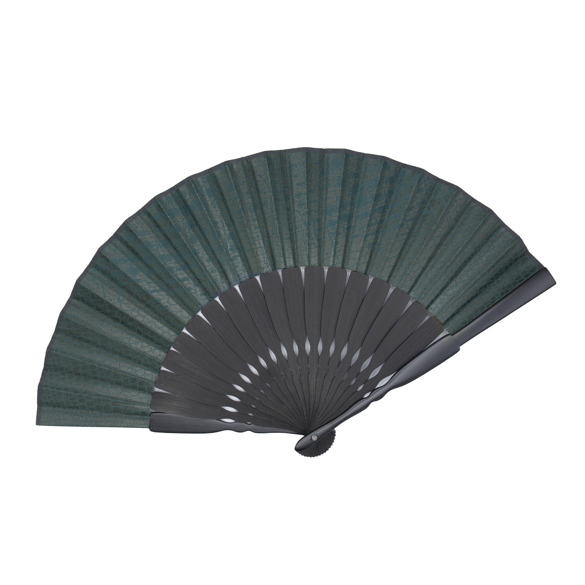 alligator_02.jpg?v=1705906558&
