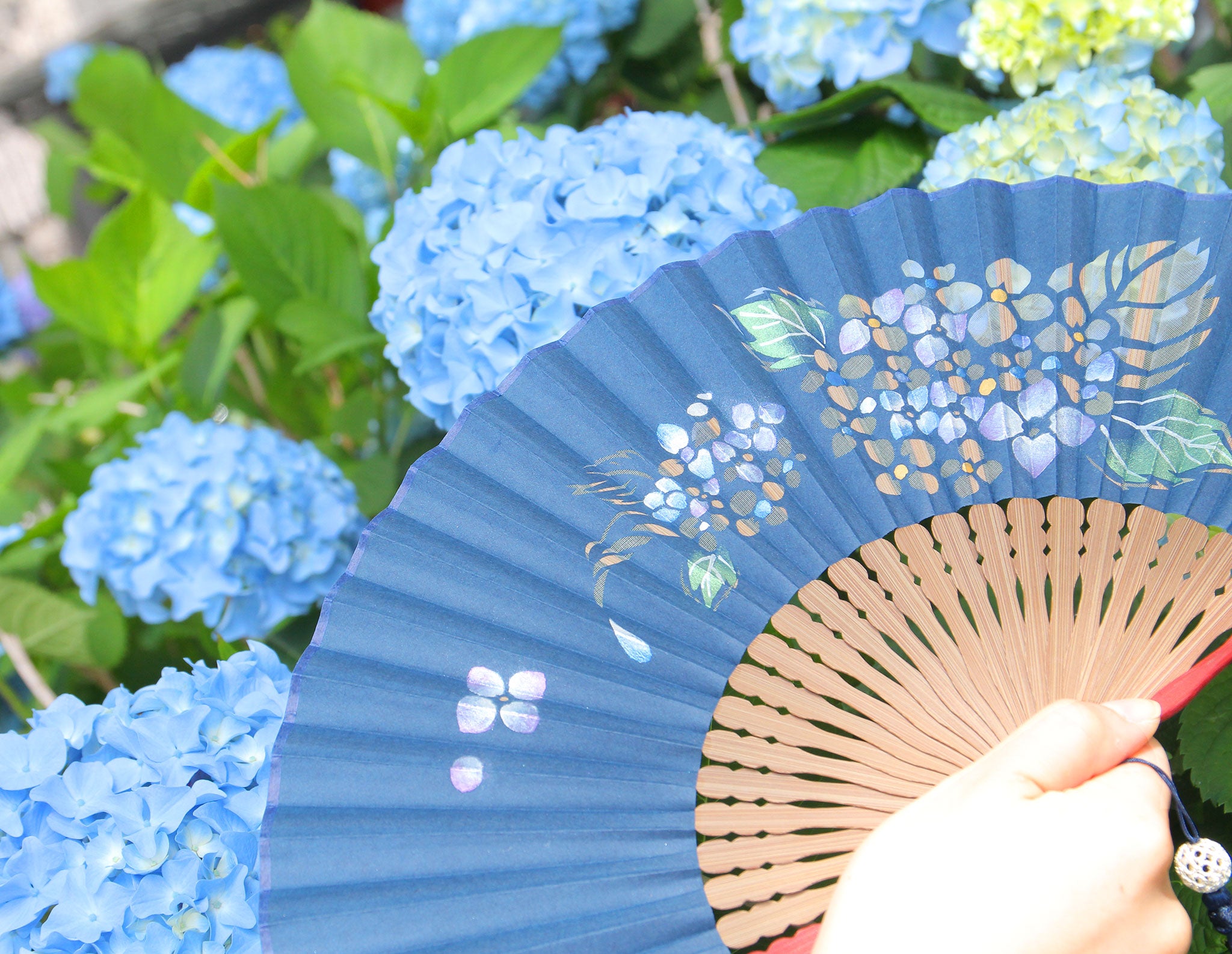 花子 扇子 季節の花 3067 撫子・鉄線・紫陽花 | 保赤軒