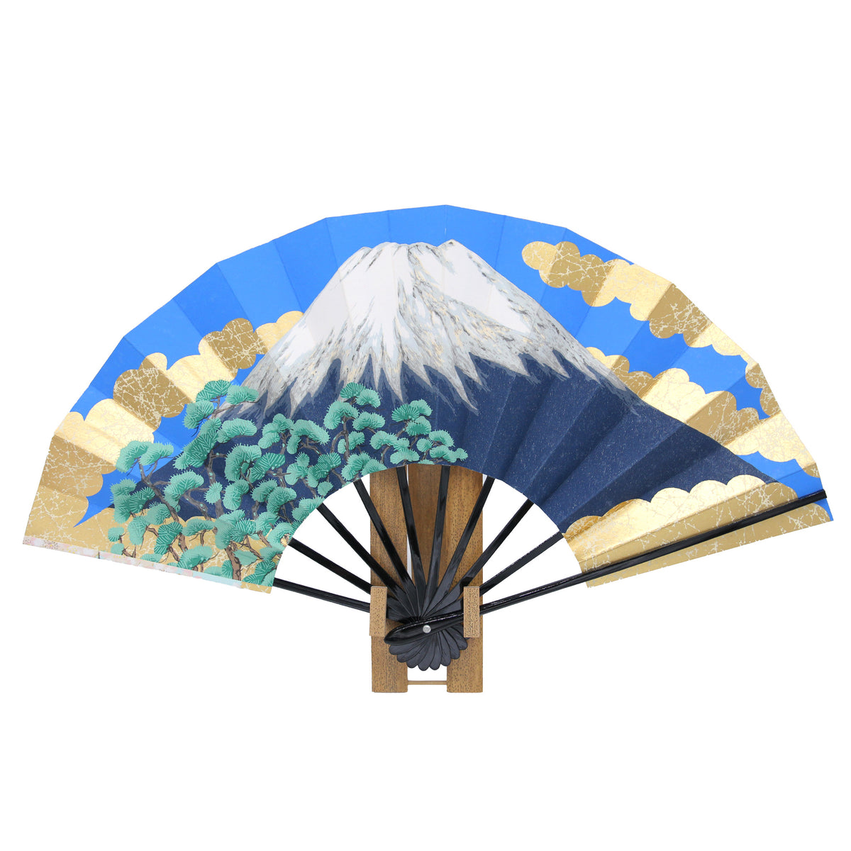 fujisakura95_01.jpg?v= 