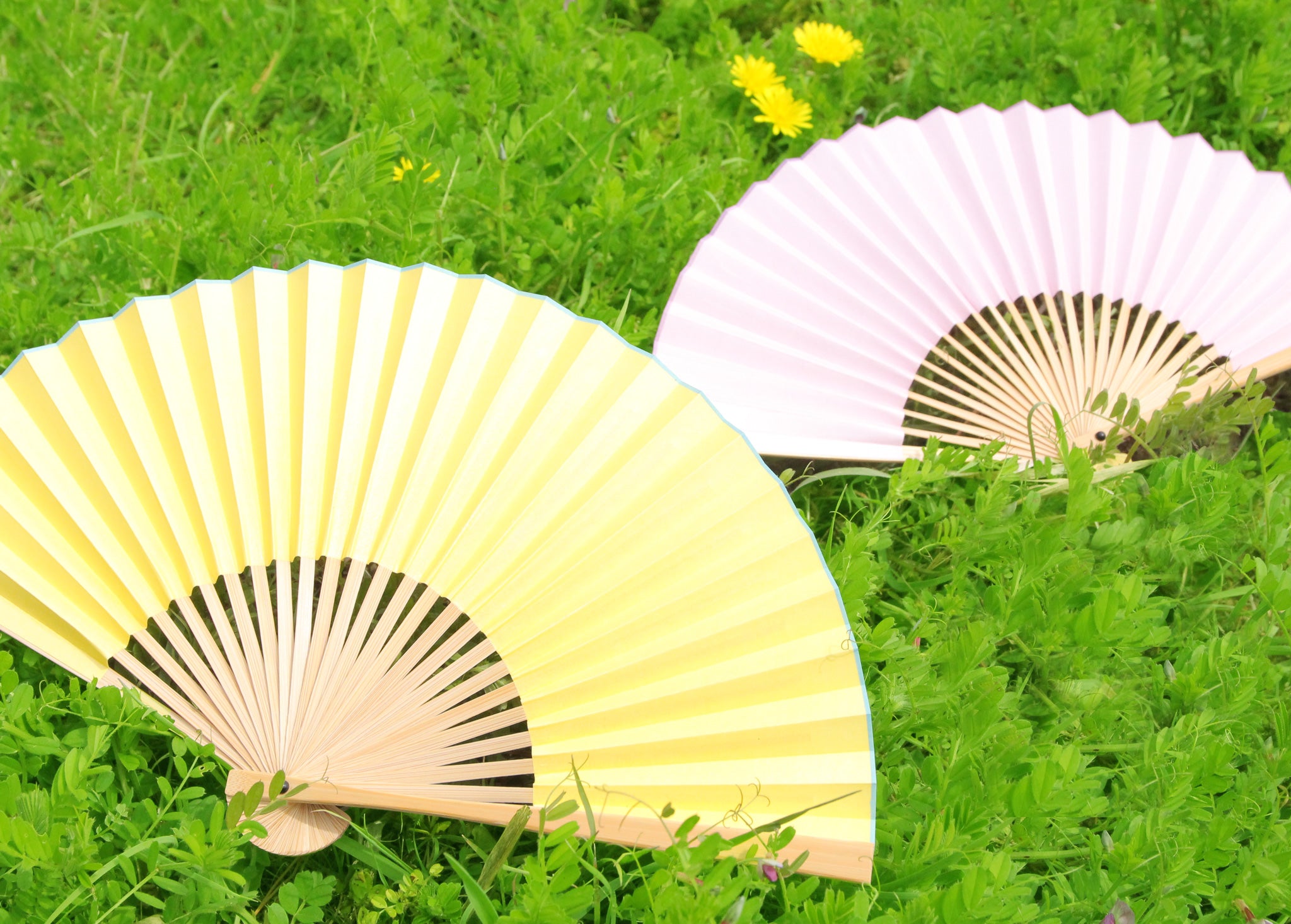 色彩 -いろもよう- 扇子セット（全6種類） – 白竹堂オンライン