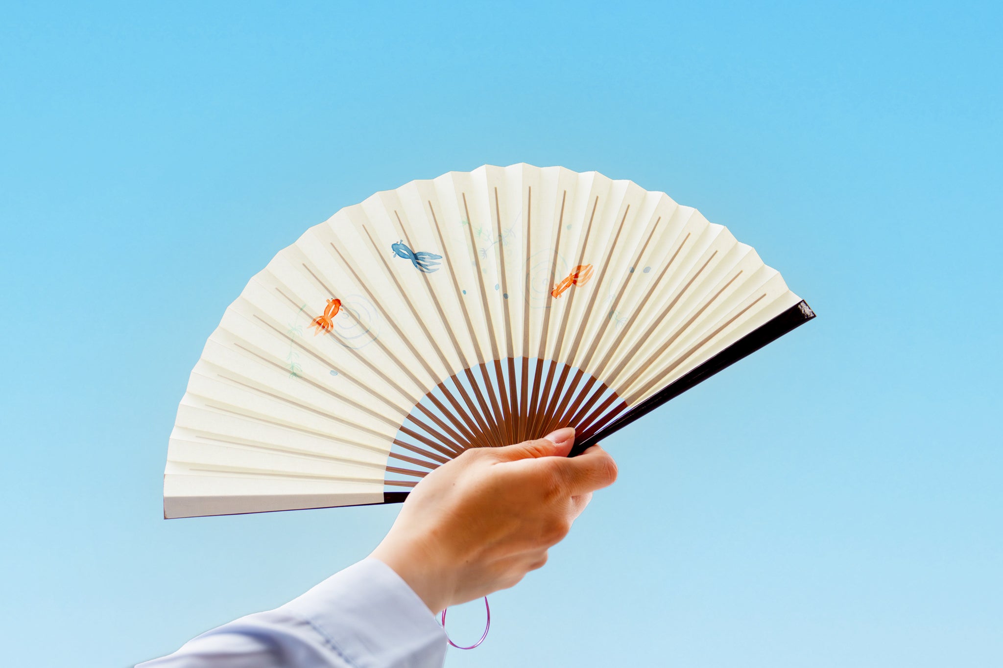 【お盆休み限定セール】白蛇伝　掻き子！ KAZEYUKATA 扇子セット -婦人-（全5種類） – 白竹堂オンライン