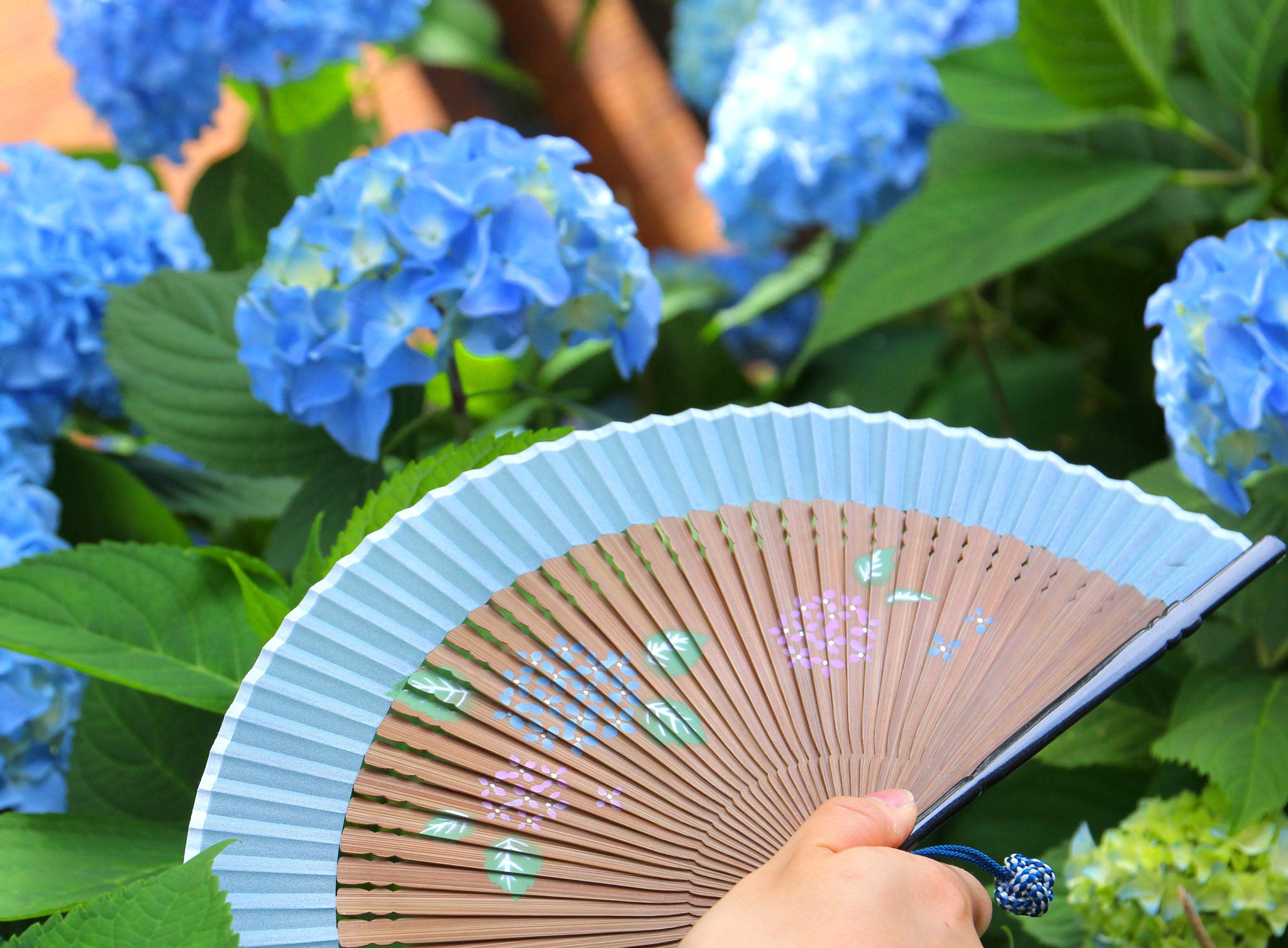 ミニペンテ 扇子セット（全5種類） – 白竹堂オンラインショップ