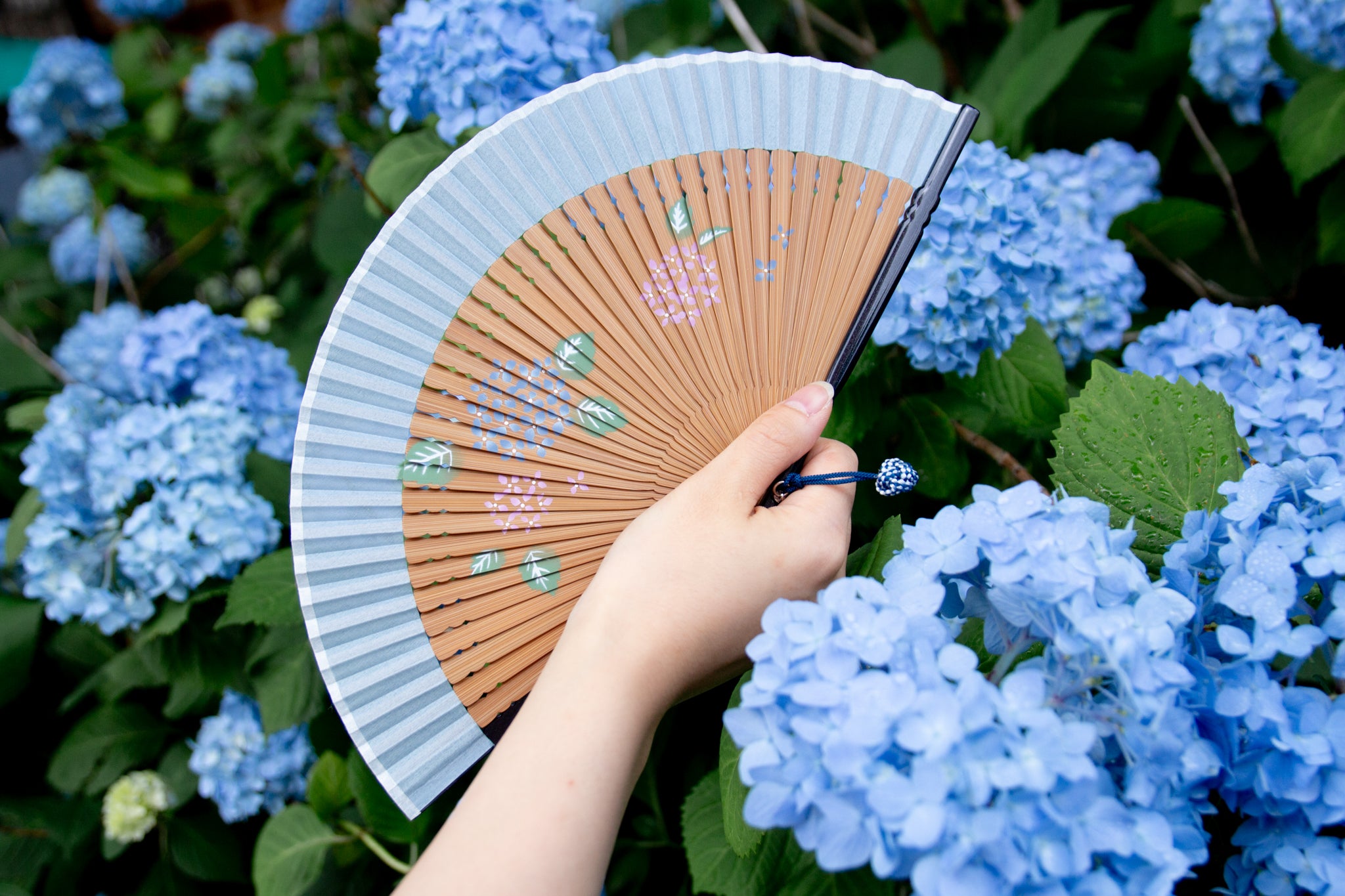 紫陽花特集 – 白竹堂オンラインショップ