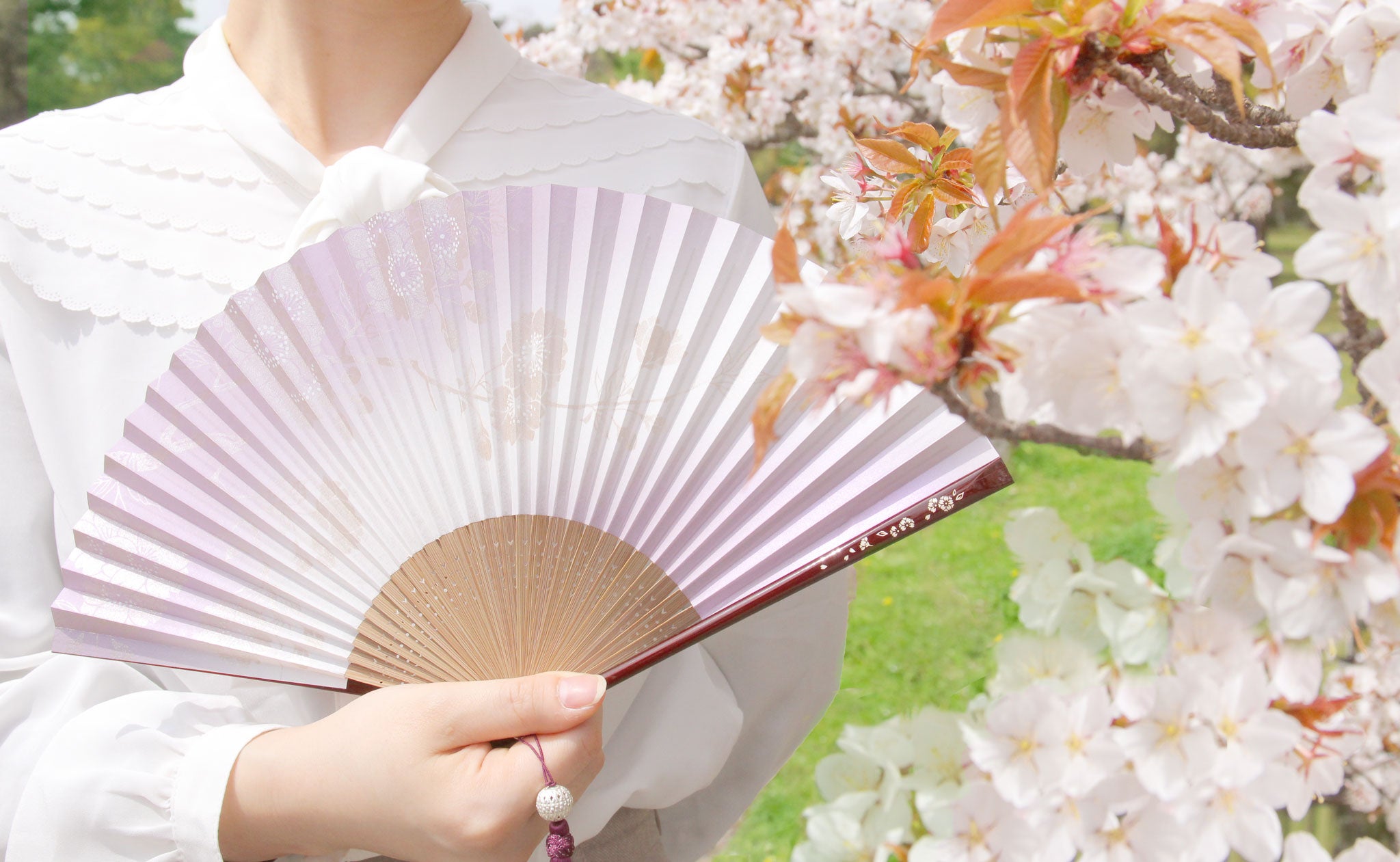 Amazon.co.jp: 白竹堂 扇子 紫色 桜柄 : ホーム＆キッチン