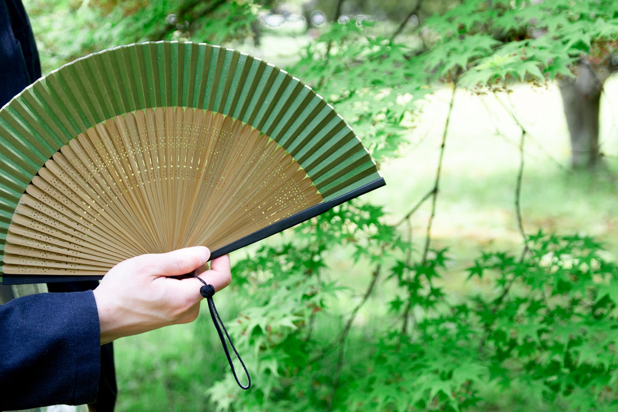 日本の彩 扇子セット（全10種類） – 白竹堂オンラインショップ