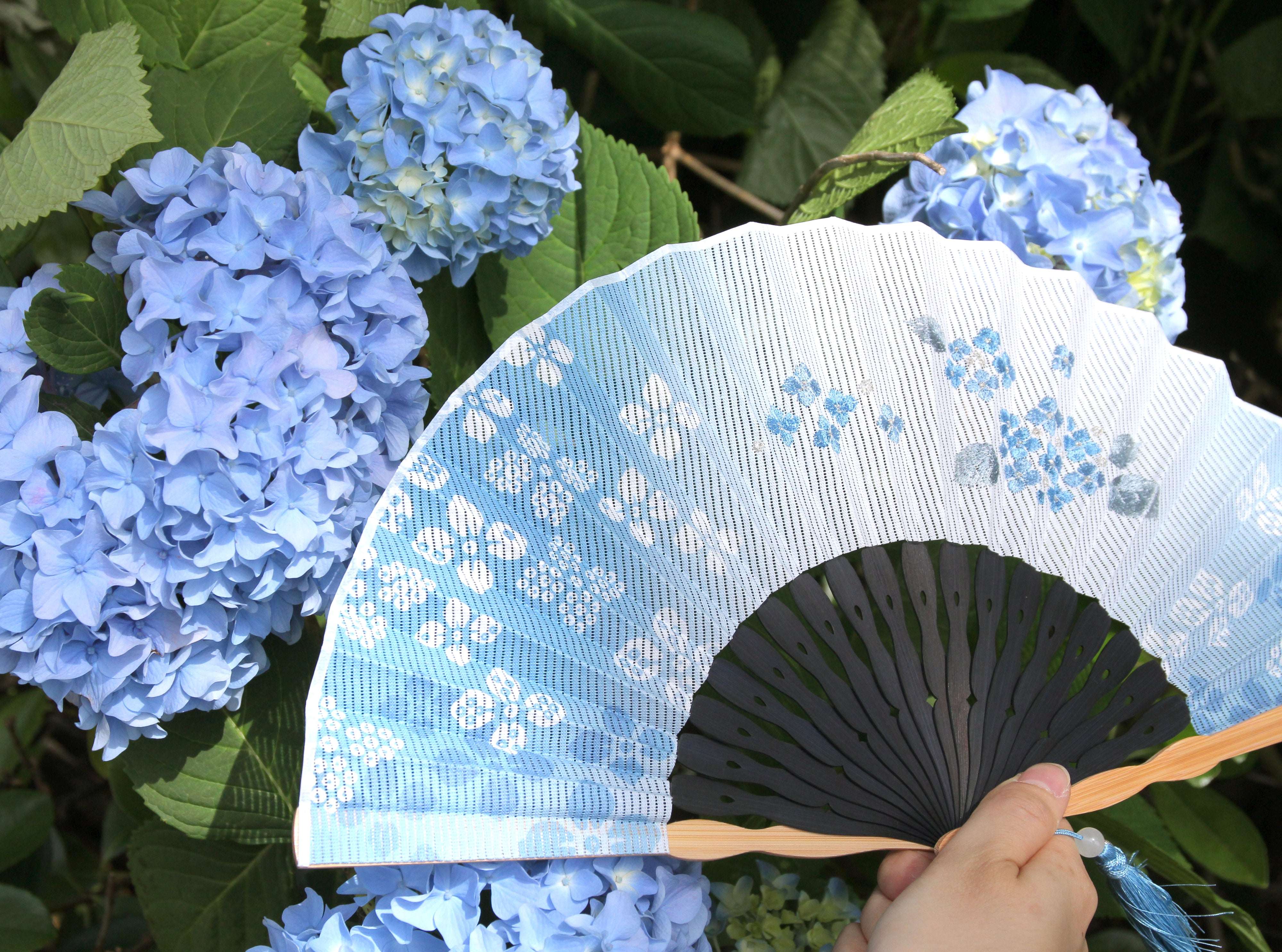 涼華 扇子セット(全3種類) – 白竹堂オンラインショップ