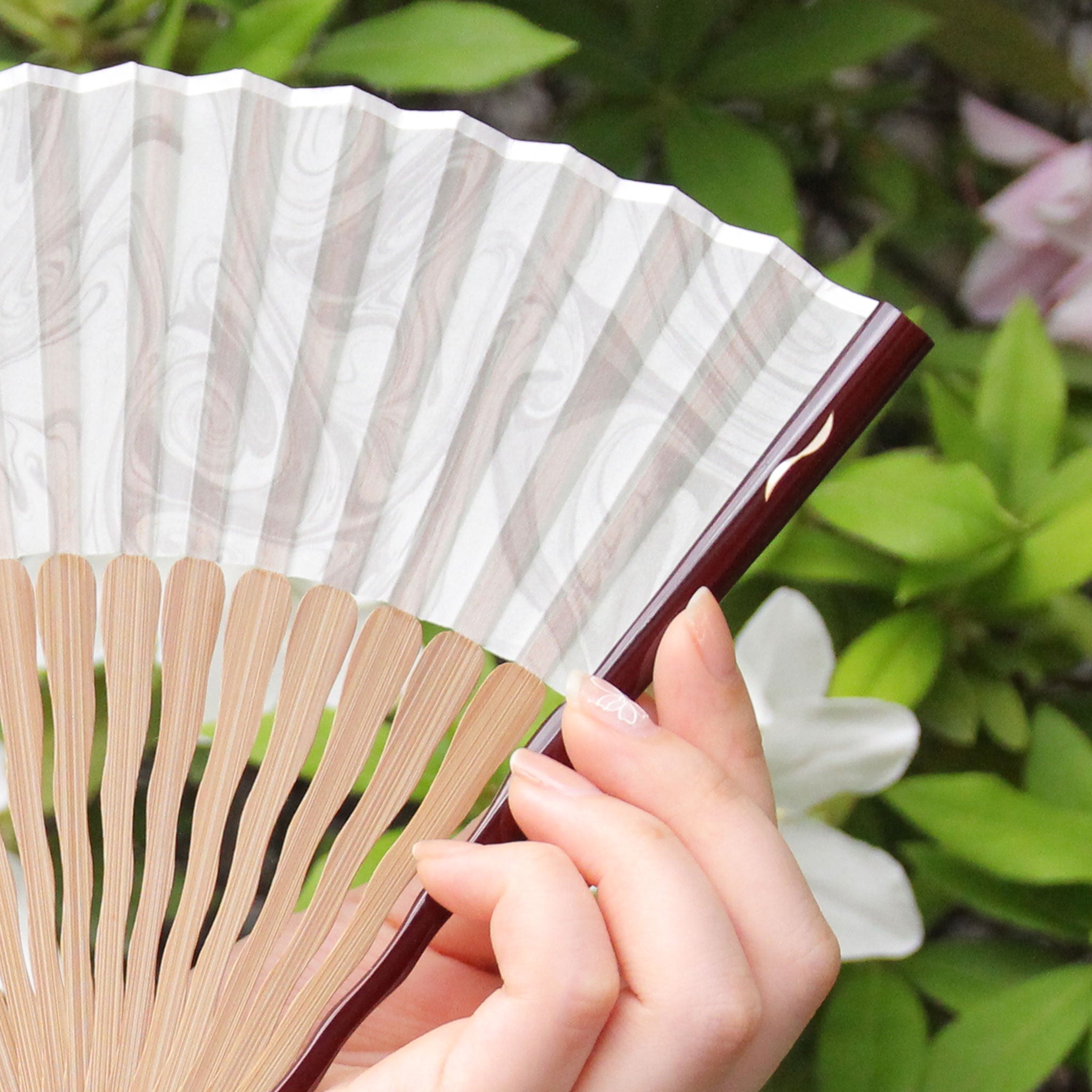 親螺鈿特集 – 白竹堂オンラインショップ