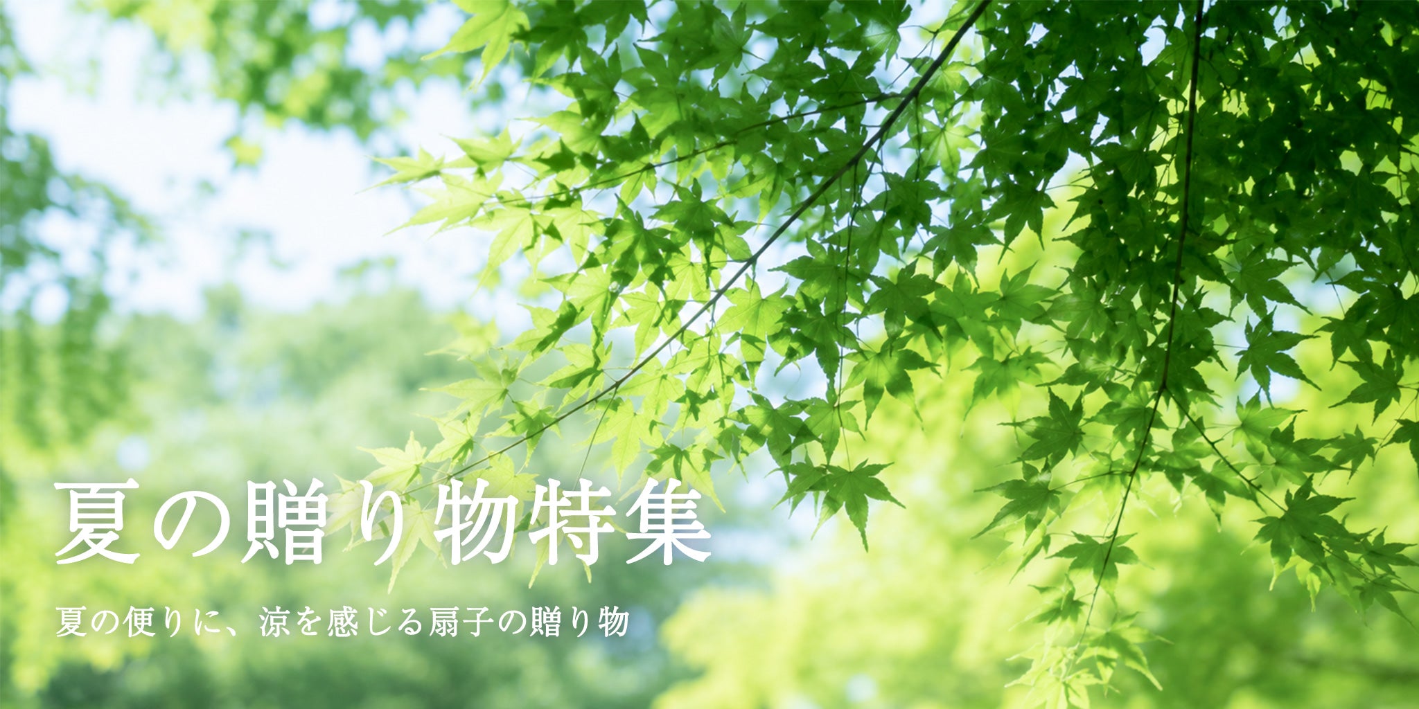 夏の贈り物特集 夏の便りに、涼を感じる扇子のおくりの贈り物