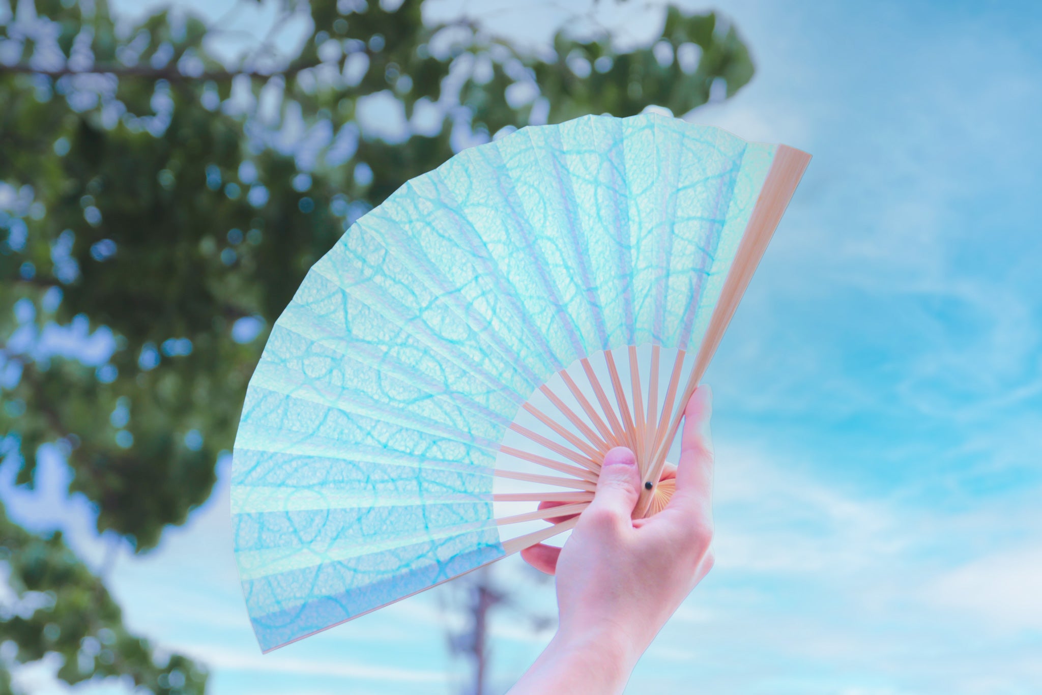 土佐和紙 水玉 扇子セット – 白竹堂オンラインショップ