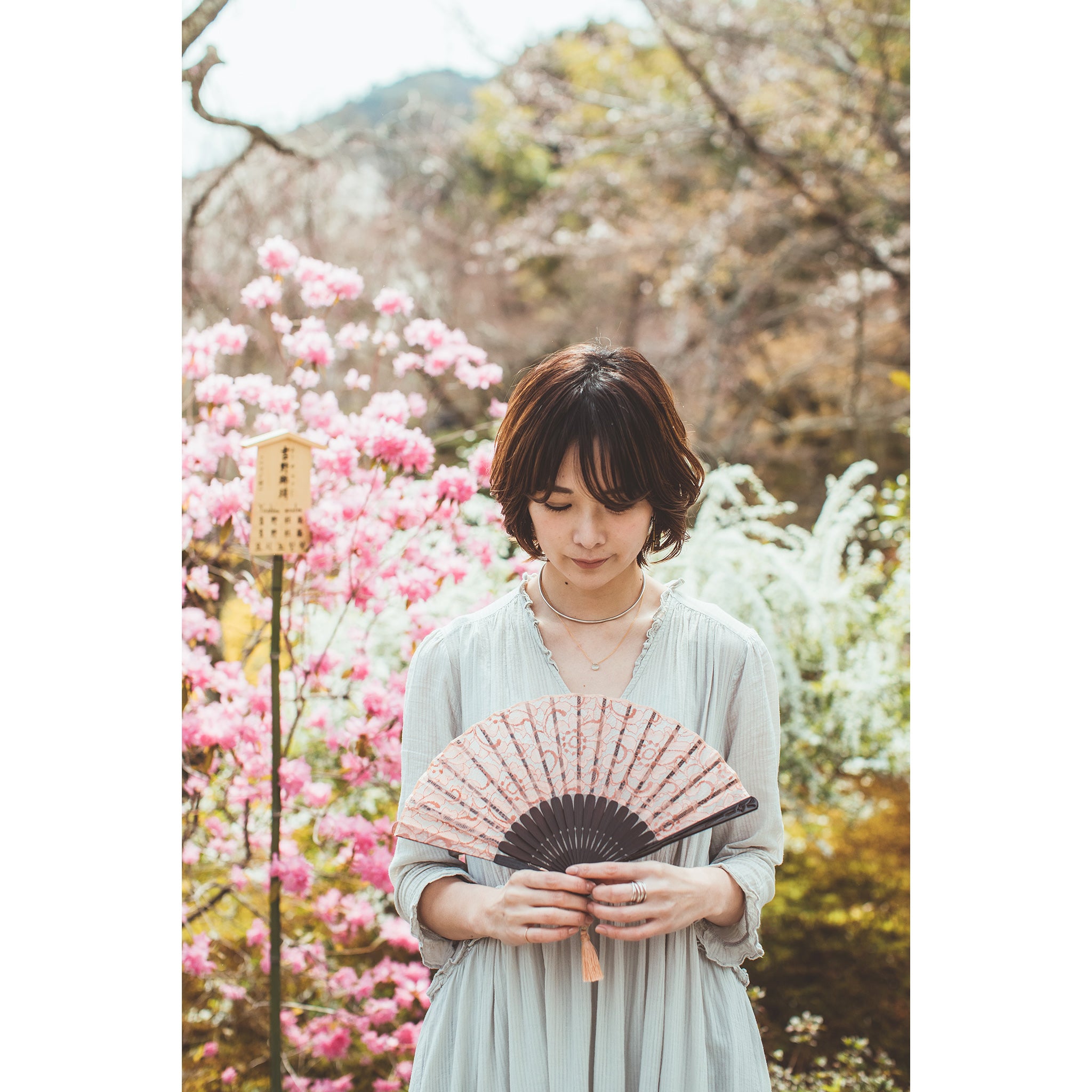 いちばん好き 2冊セット 貴重レア品 本革】ステラ 扇子セット（全4種類） – 白竹堂オンラインショップ
