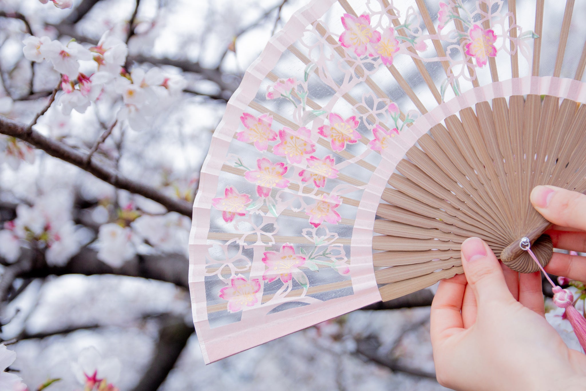 優香 扇子セット（全8種類） – 白竹堂オンラインショップ