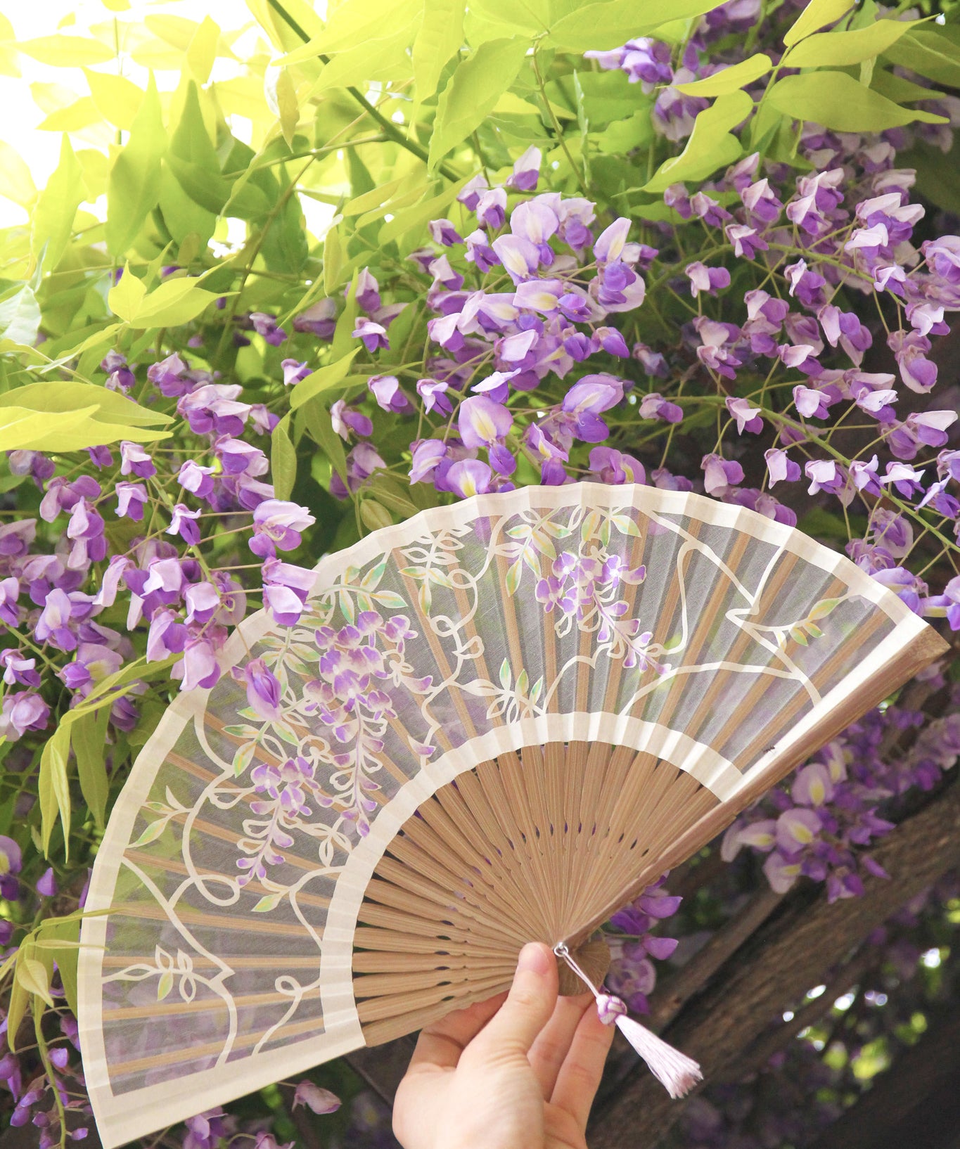 藤の花特集 – 白竹堂オンラインショップ